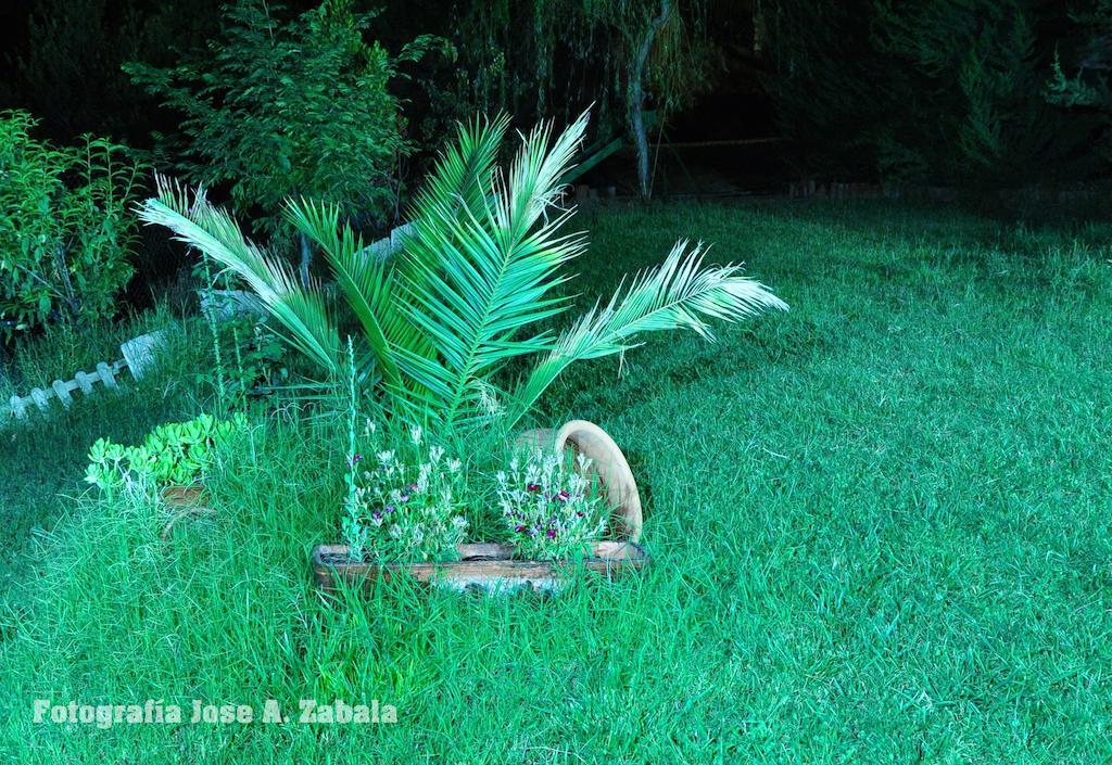 Casa Rural Los Parrales El Tranco Ngoại thất bức ảnh